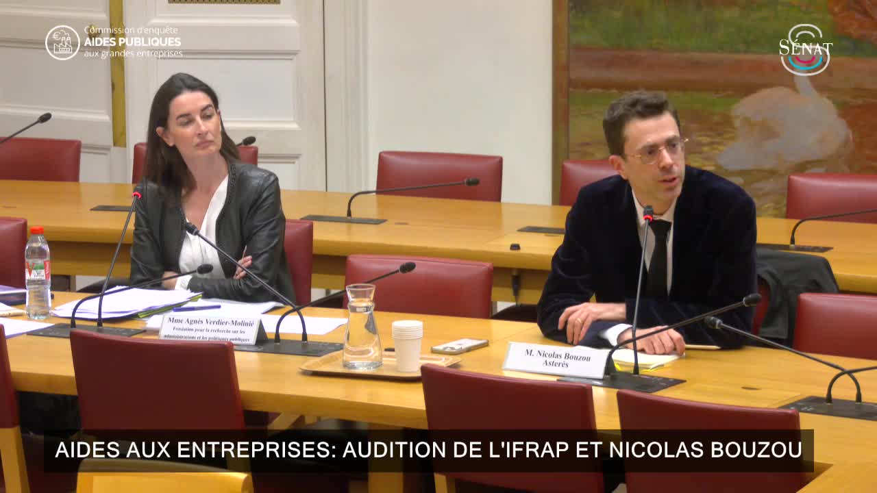 Aides aux entreprises : audition de l'IFRAP et Nicolas Bouzou