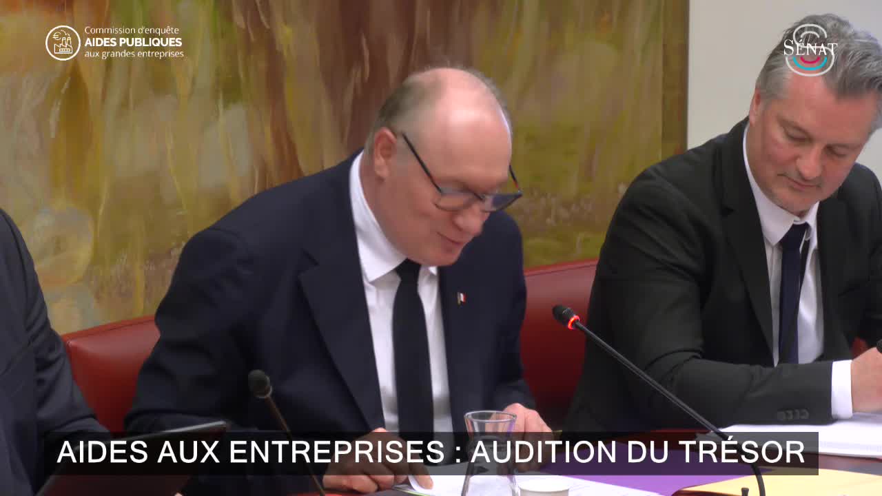 Aides aux entreprises : audition du Trésor
