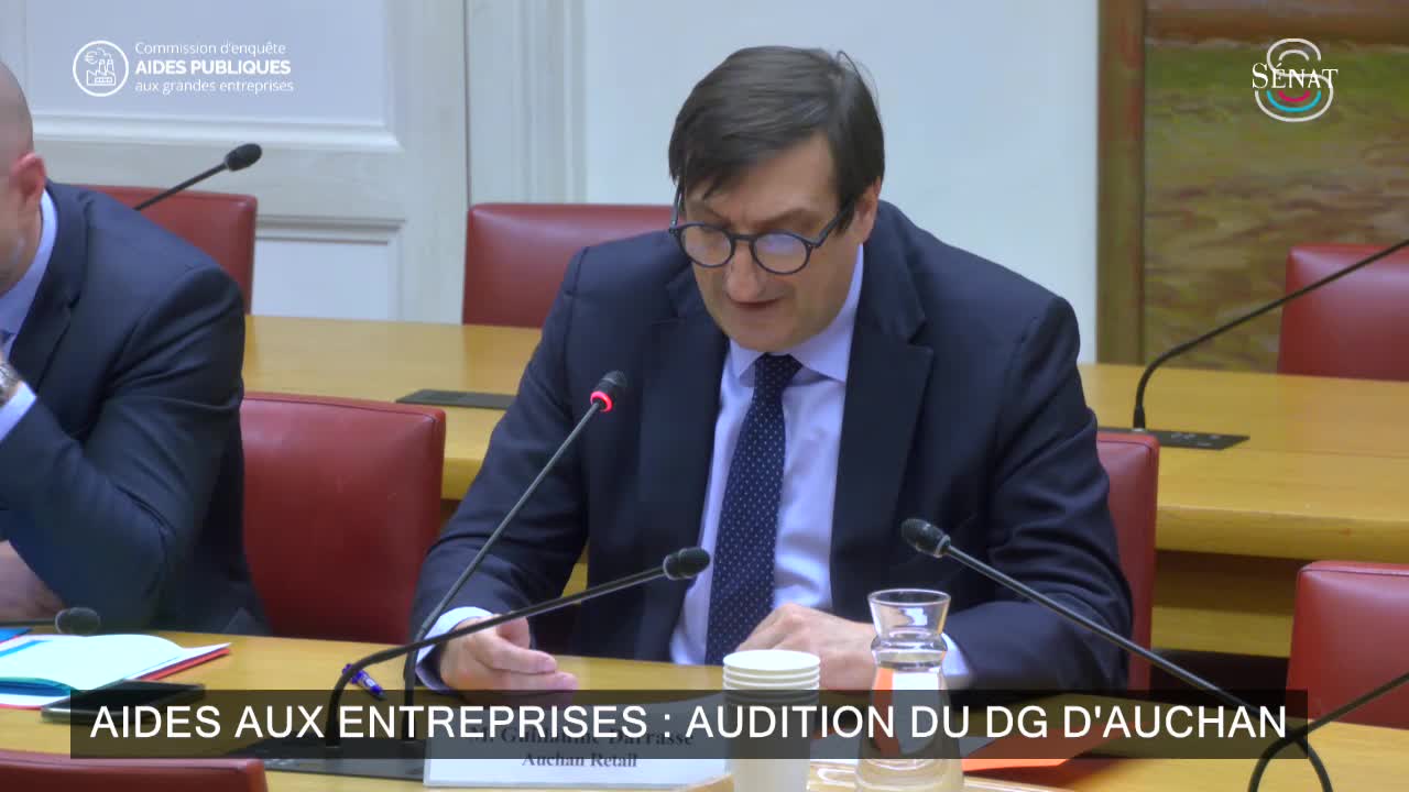 Aides aux entreprises : audition du DG d'Auchan