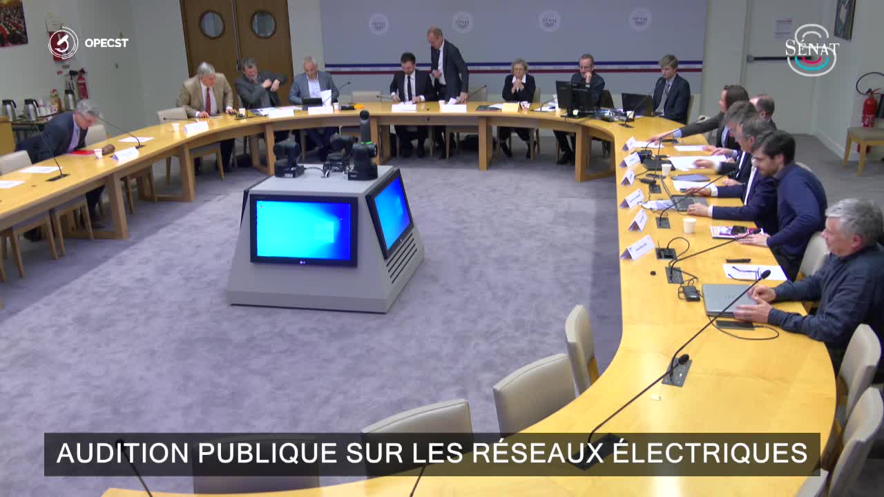 Audition publique sur les réseaux électriques