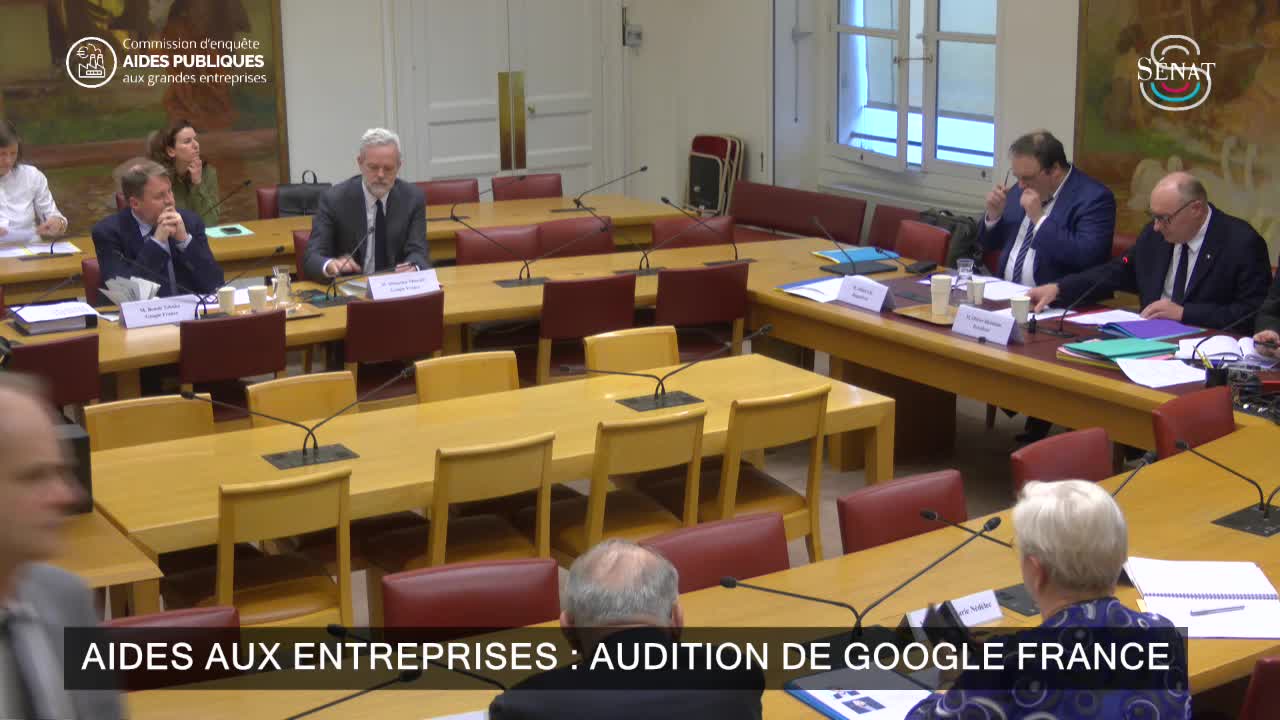 Aides aux entreprises : audition de Google France