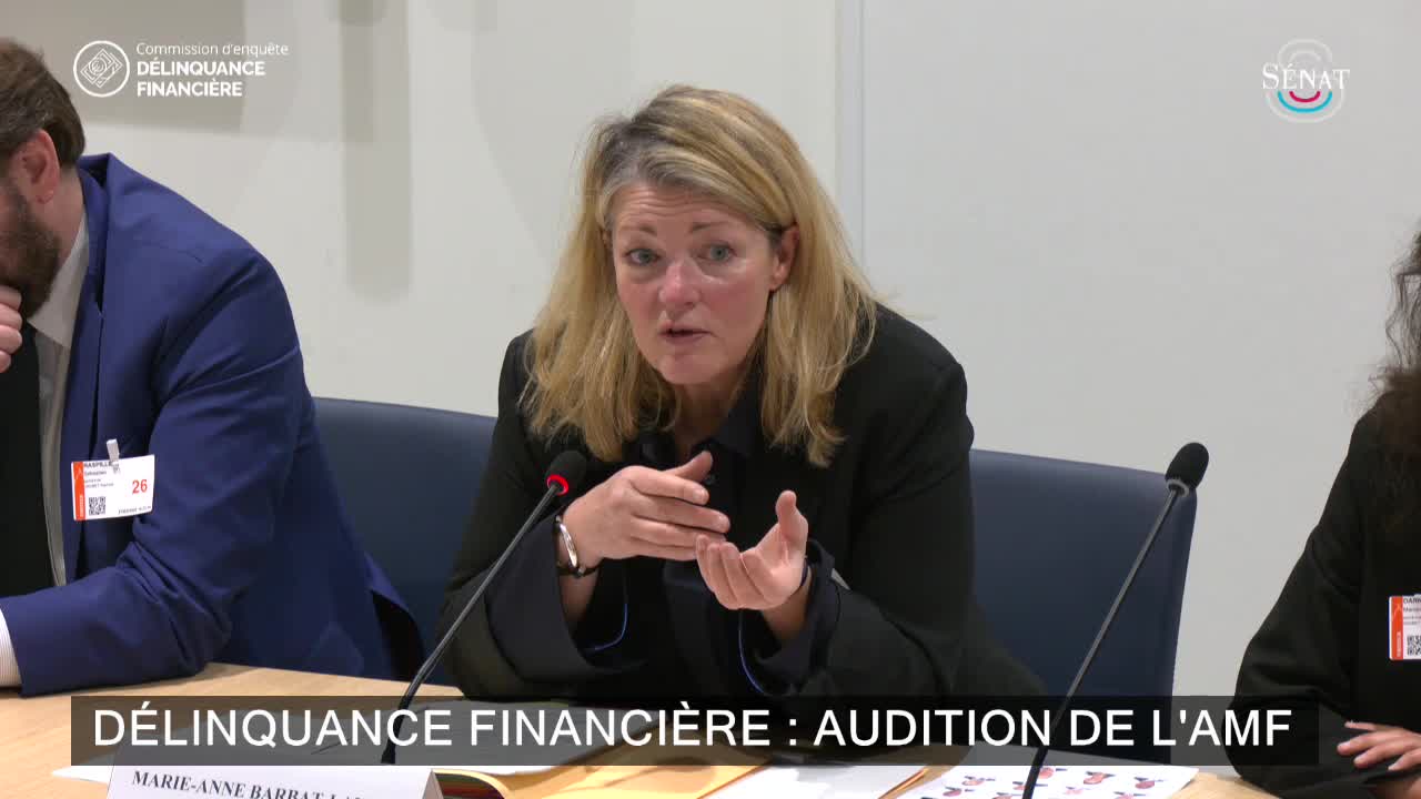 Délinquance financière : audition de l'AMF 