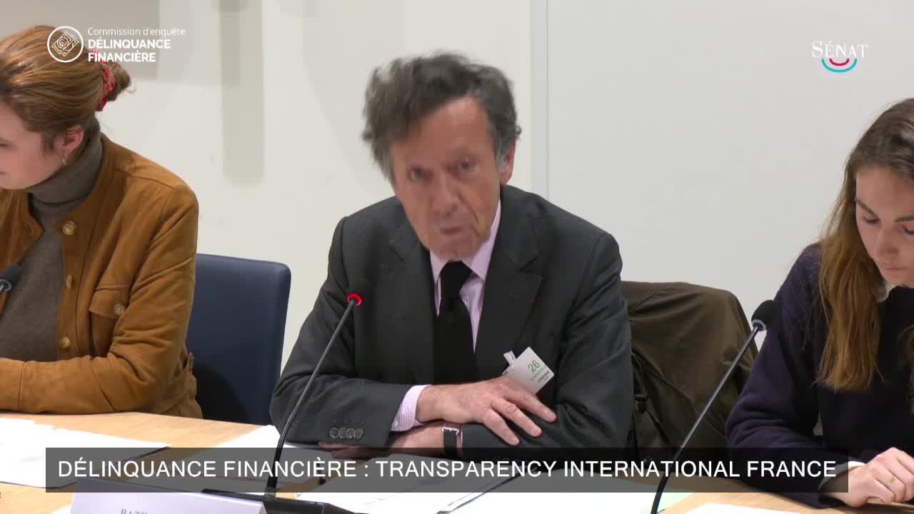 Délinquance financière : Transparency International France