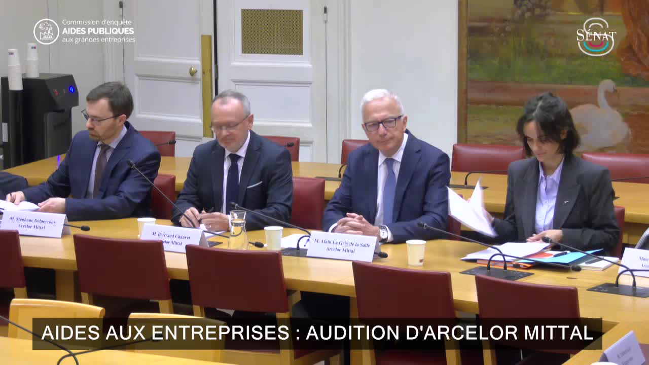 Aides aux entreprises : audition d'Arcelor Mittal