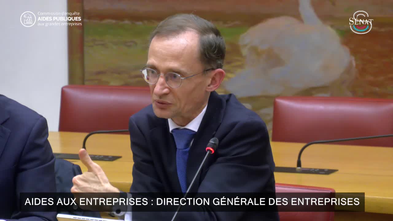Aides aux entreprises : Direction générale des entreprises