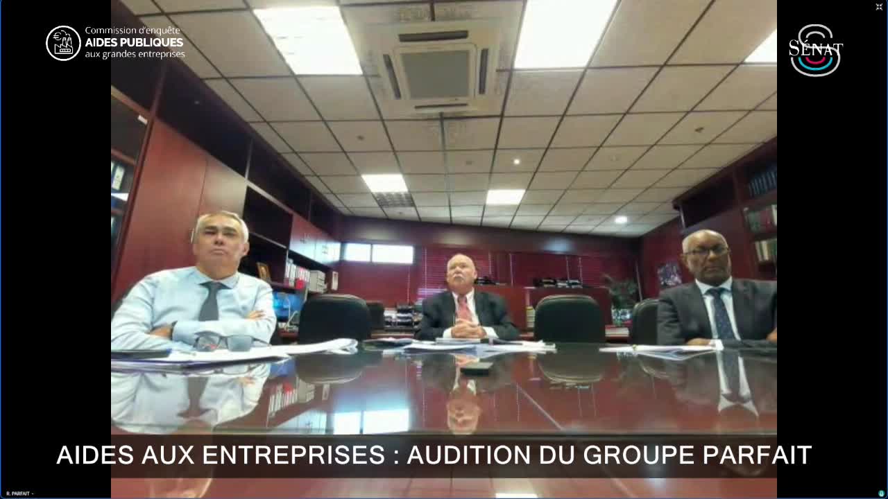 Aides aux entreprises : audition du groupe Parfait