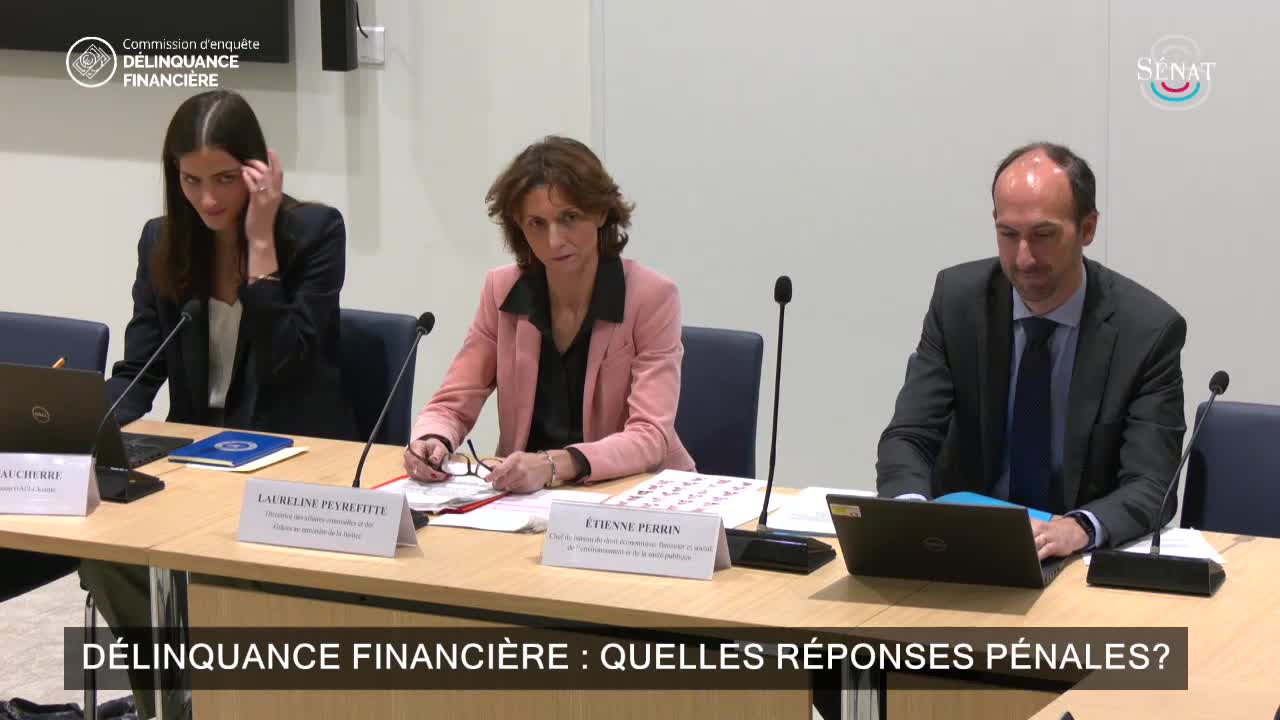 Délinquance financière : quelles réponses pénales?