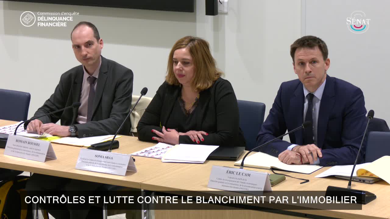 Contrôles et lutte contre le blanchiment par l'immobilier