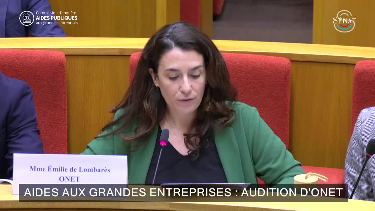 Aides aux grandes entreprises : audition d'ONET