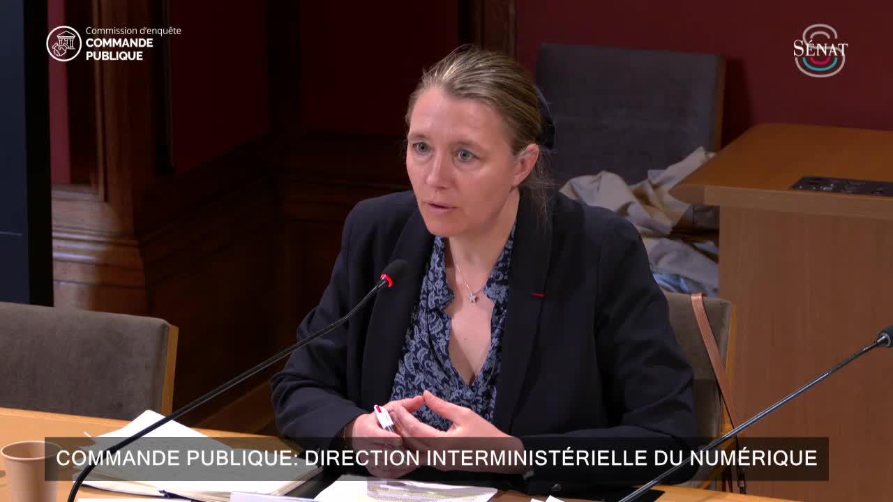 Commande publique : Direction interministérielle du numérique 
