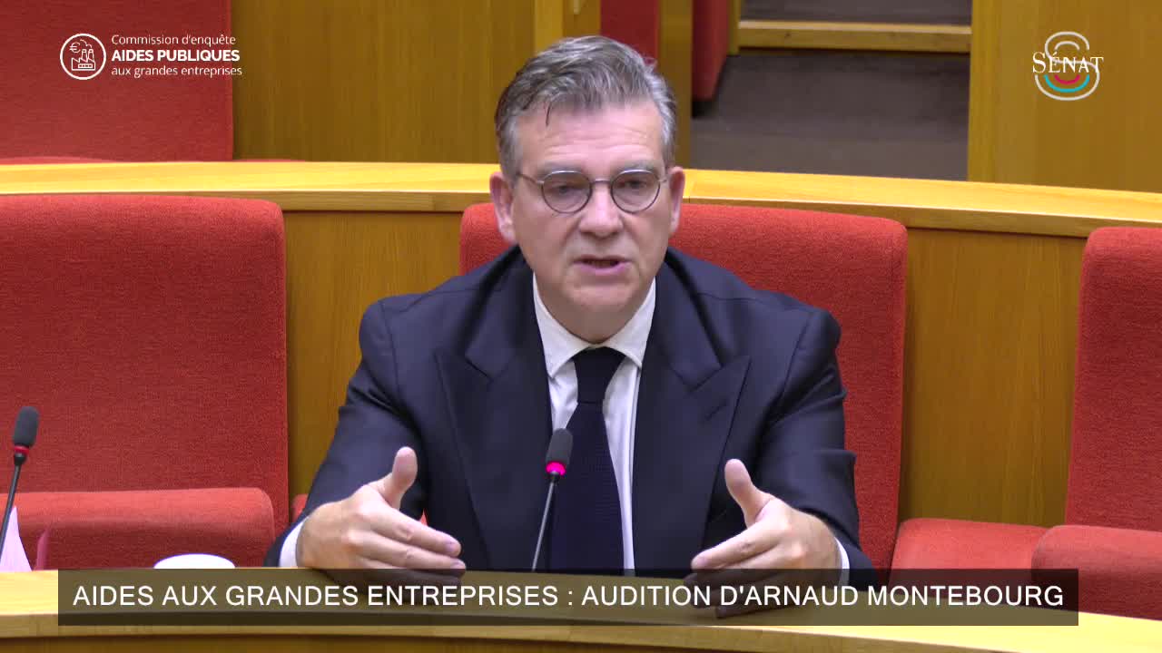 Aides aux grandes entreprises : audition d'Arnaud Montebourg