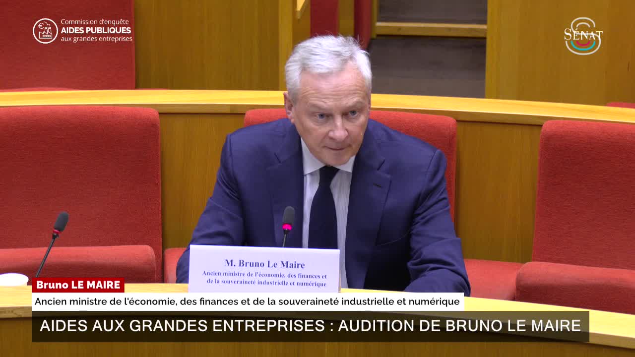 Aides aux grandes entreprises : audition de Bruno Le Maire