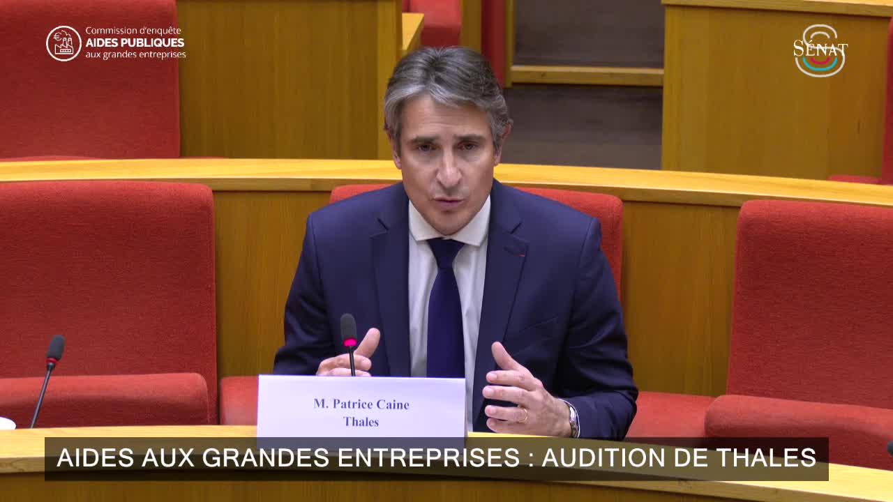 Aides aux grandes entreprises : audition de Thales