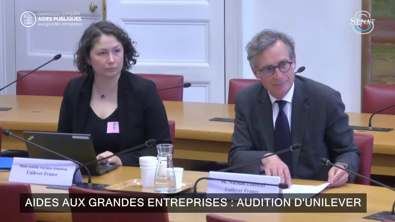 Aides aux grandes entreprises : audition d'Unilever