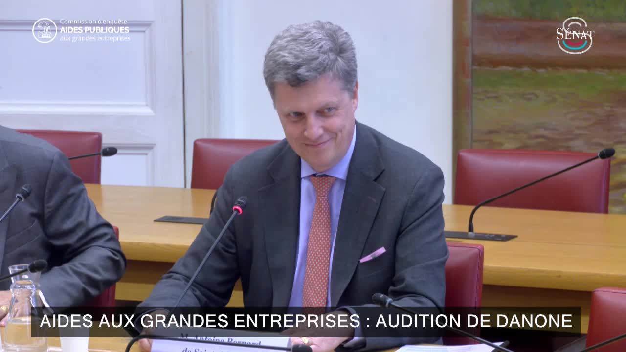 Aides aux grandes entreprises : audition de Danone