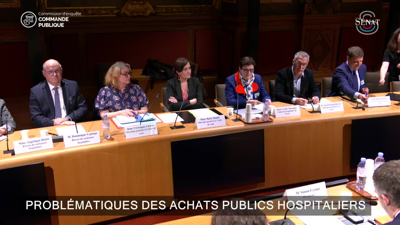 Problématiques des achats publics hospitaliers