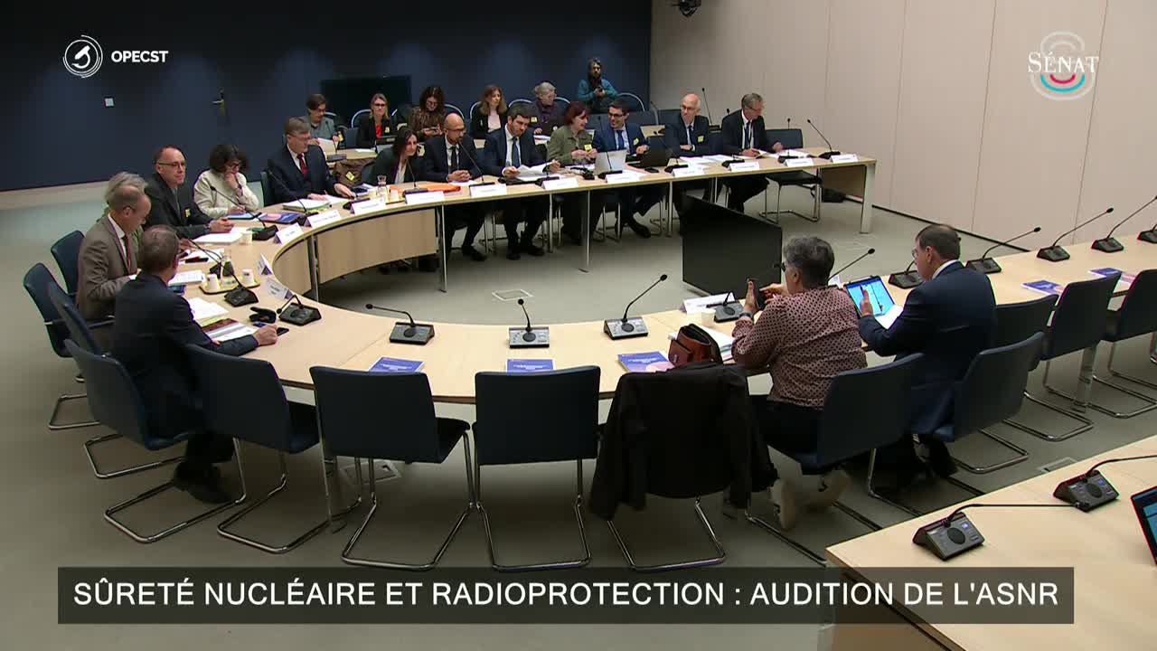 Sûreté nucléaire et radioprotection : audition de l'ASNR