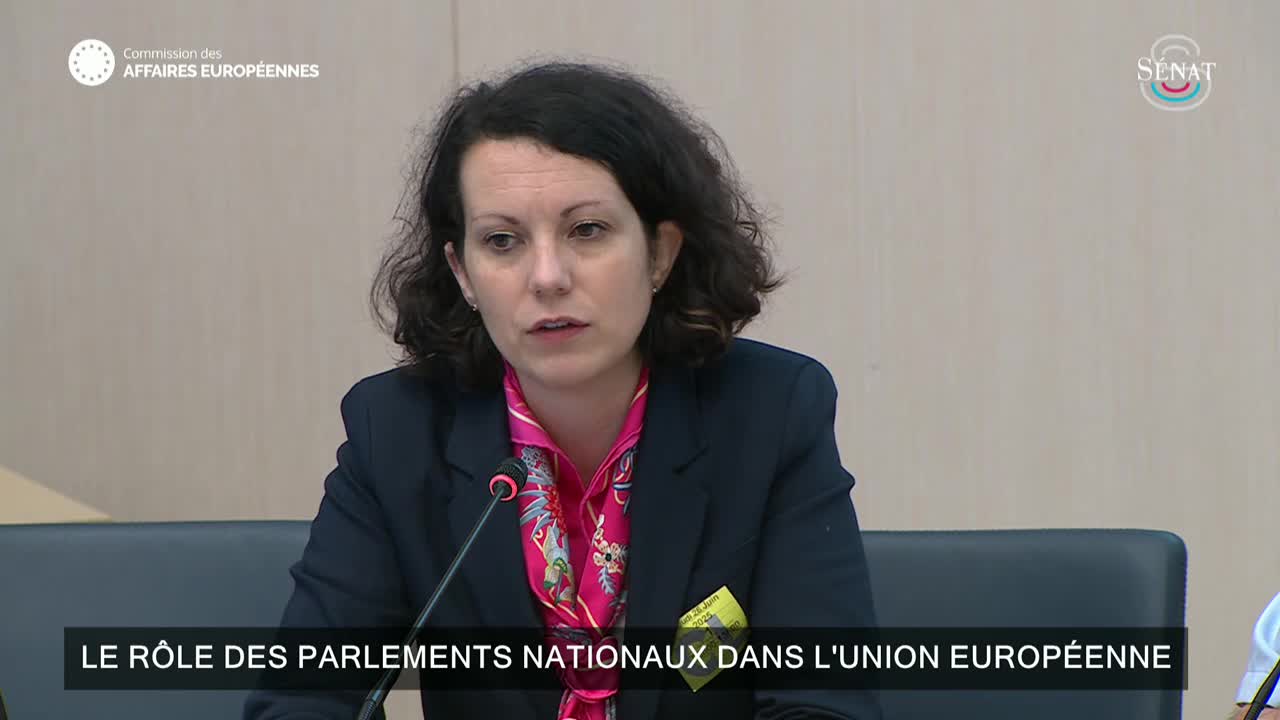 Le rôle des Parlements nationaux dans l'Union européenne