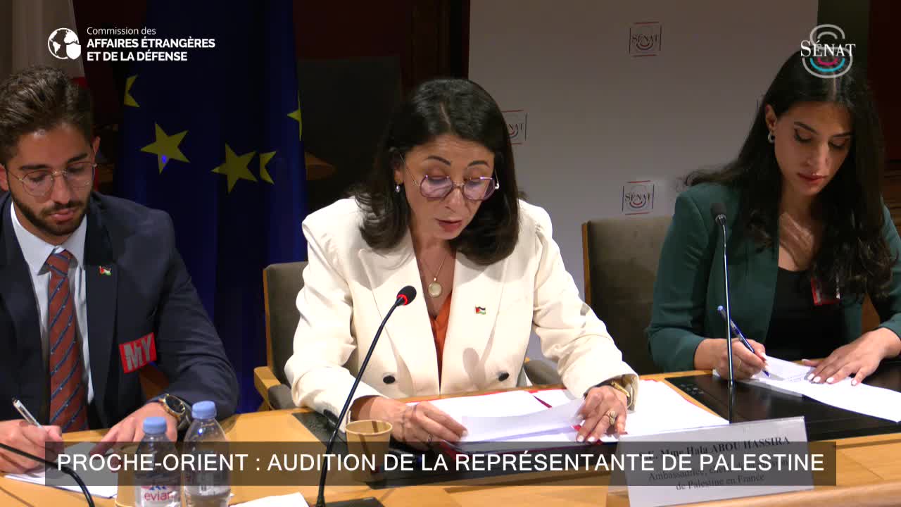 Proche-Orient : audition de la représentante de Palestine