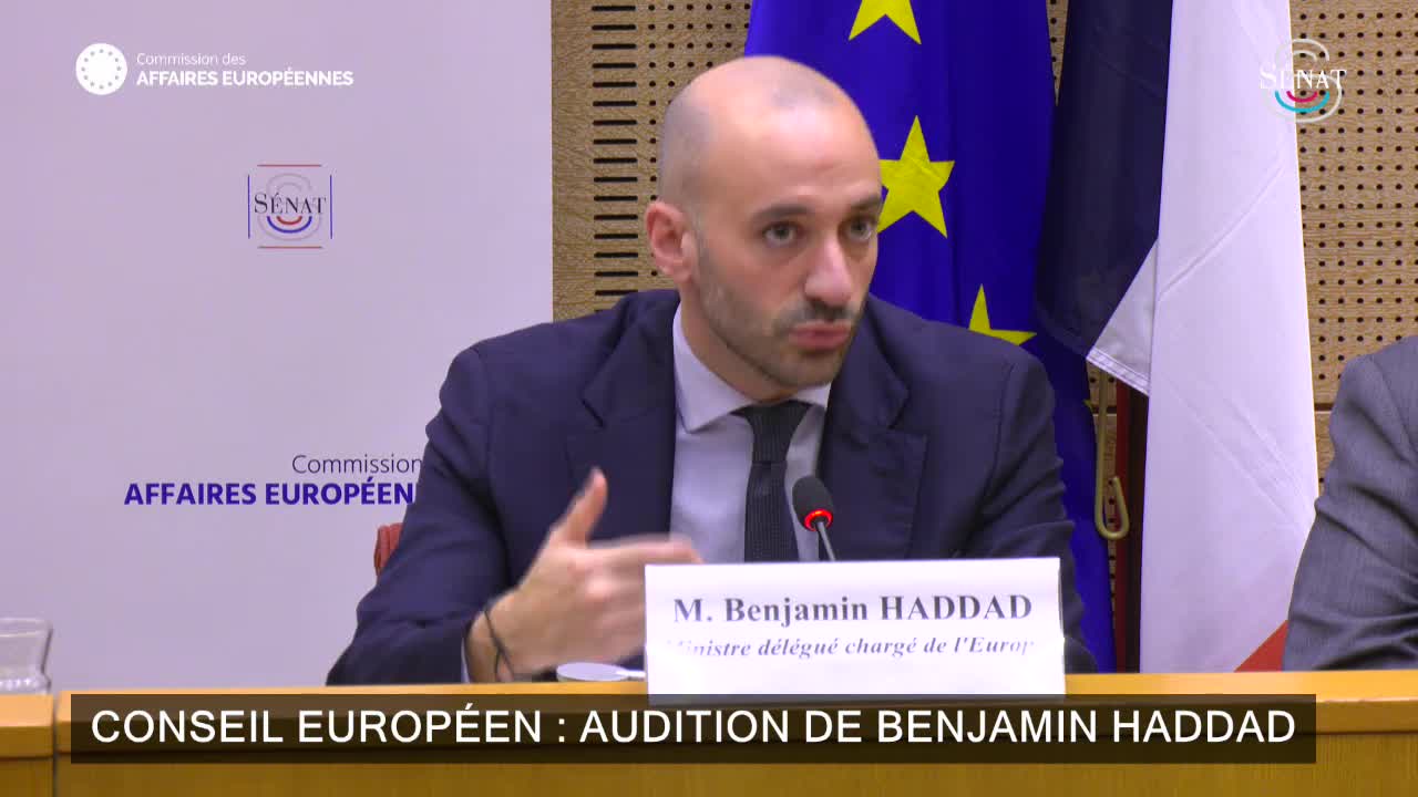 Conseil européen : audition de Benjamin Haddad