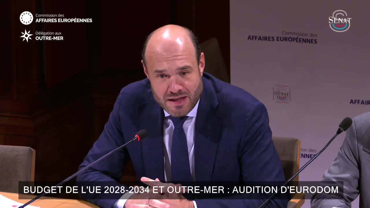 Budget de l'UE 2028-2034 et outre-mer : audition d'Eurodom