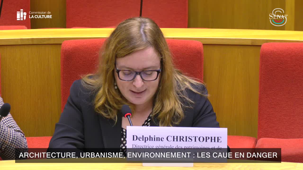 Architecture, urbanisme, environnement : les CAUE en danger