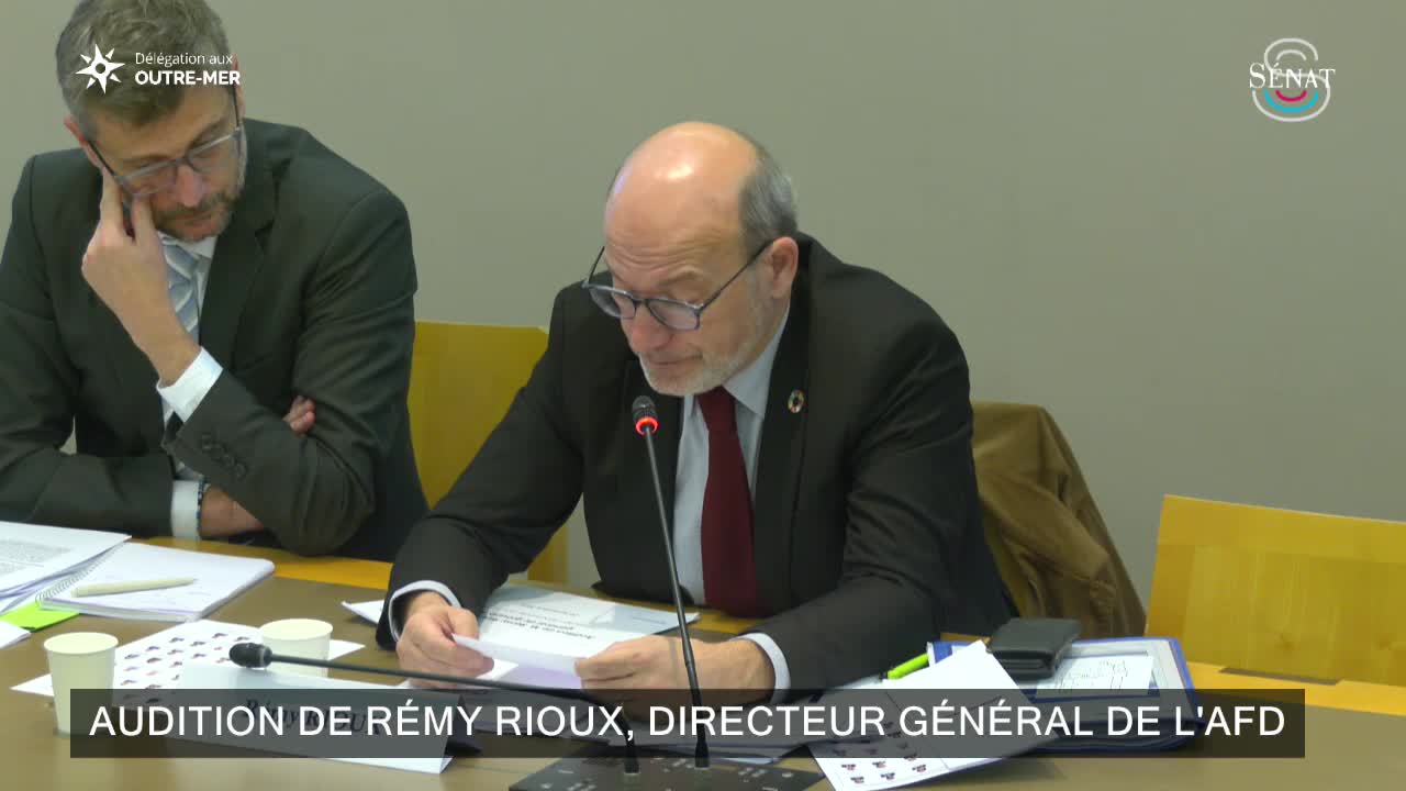 Audition de Rémy Rioux, directeur général de l'AFD