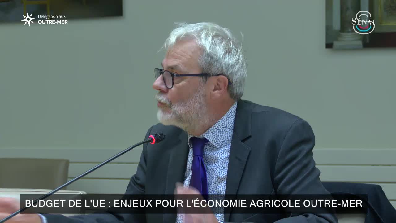 Budget de l'UE : enjeux pour l'économie agricole outre-mer