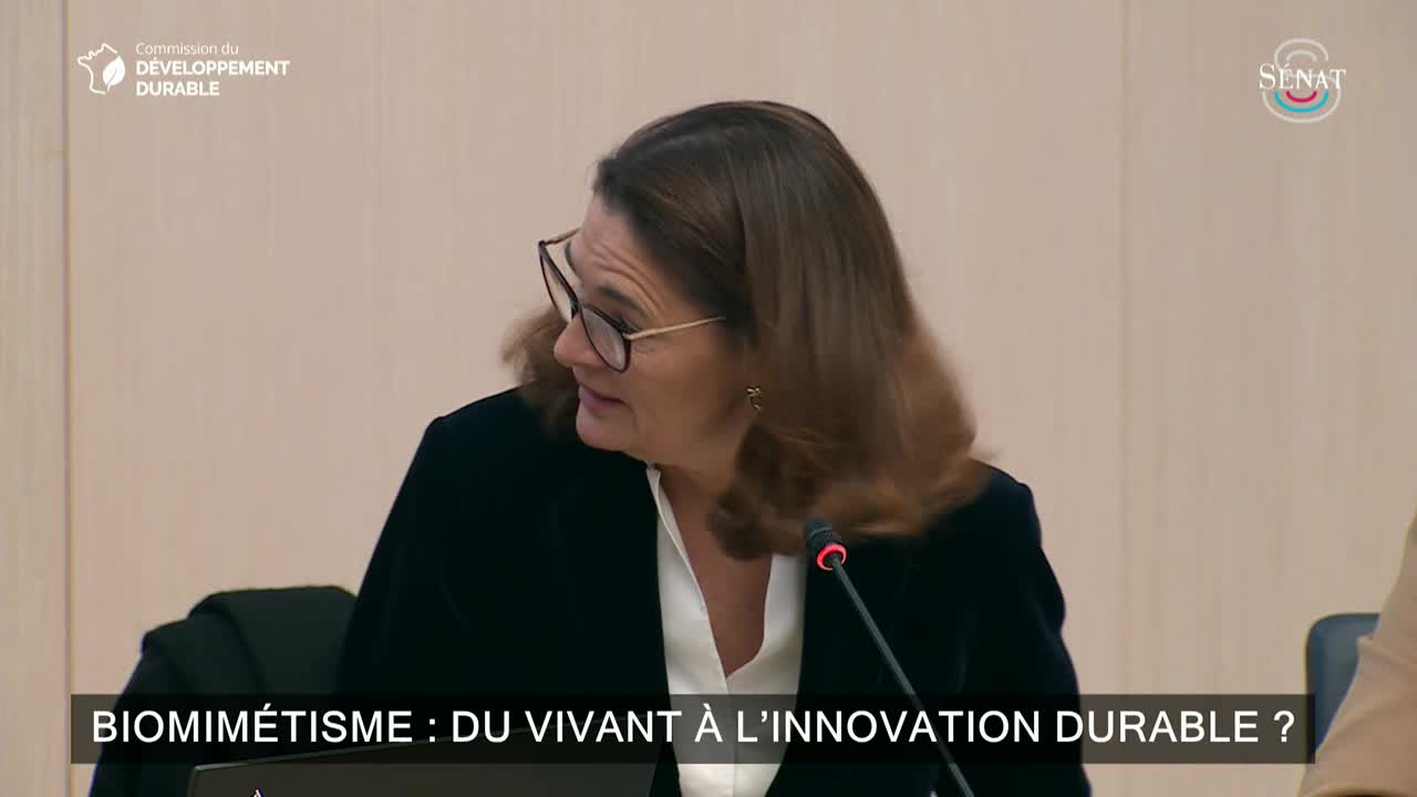Biomimétisme : du vivant à l’innovation durable ?