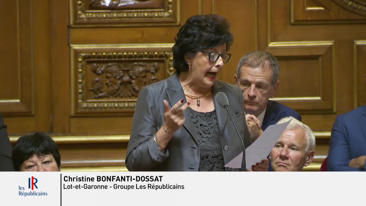 Séance publique du 11 octobre 2018 (après-midi)
